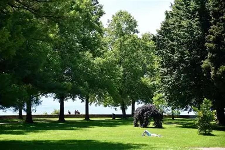 Des renards urbains plus nombreux dans les rues de Zurich